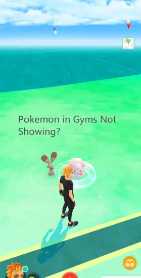 1747141746 pokemon in gyms is not showing.png