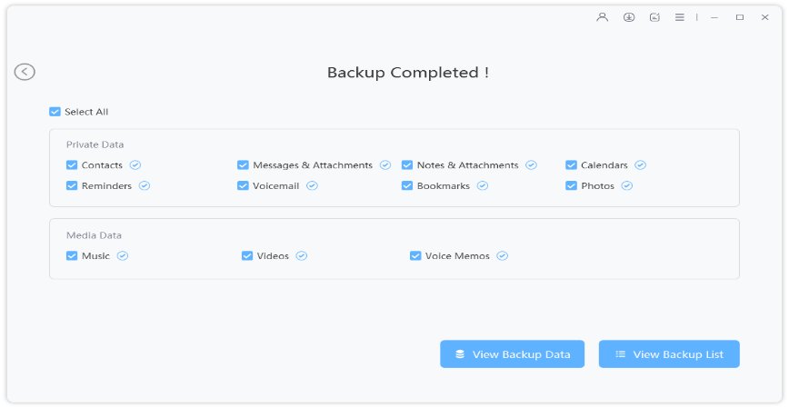 con éxito copia de seguridad de iPhone sin iTunes