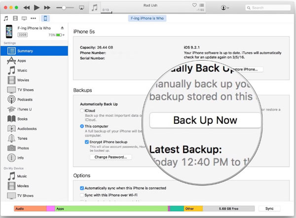 hacer una copia de seguridad de los libros de iPad a iTunes