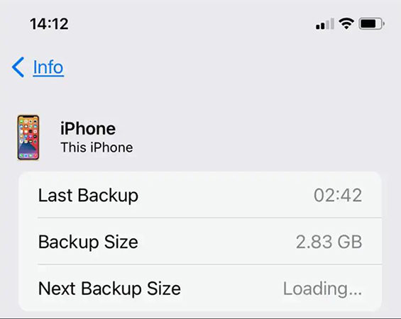 Copia de copia de seguridad de comprobación de iPhone
