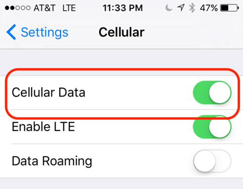 Encienda los datos celulares en el iPhone