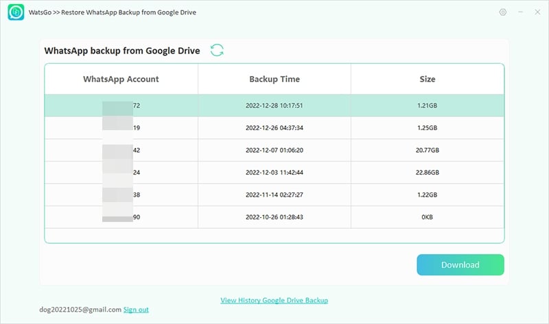 Watsgo Display Google Drive Backup